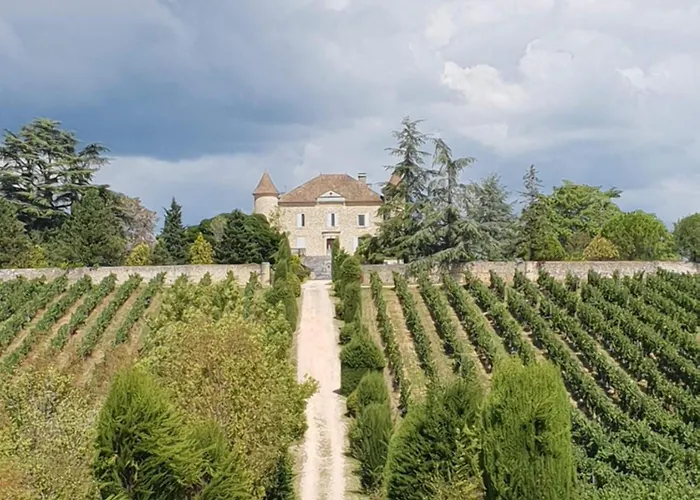 וילה Rusty Shears46 Eclectic Couples Escape, Hot Tub & Cahors Vineyards *