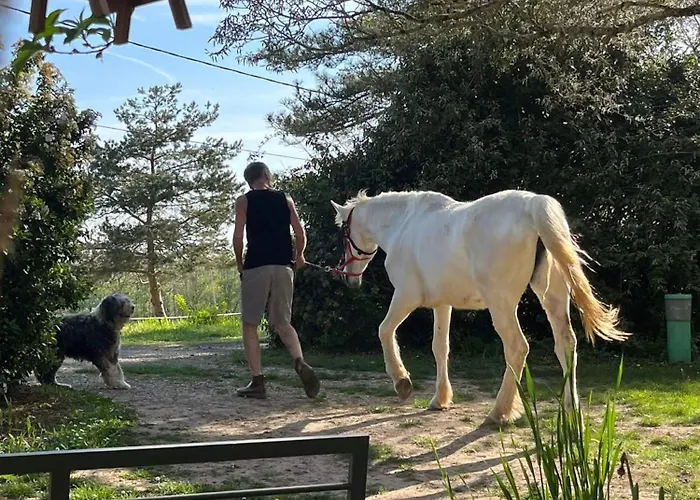 Rusty Shears46 Eclectic Couples Escape, Hot Tub & Cahors Vineyards וילה *