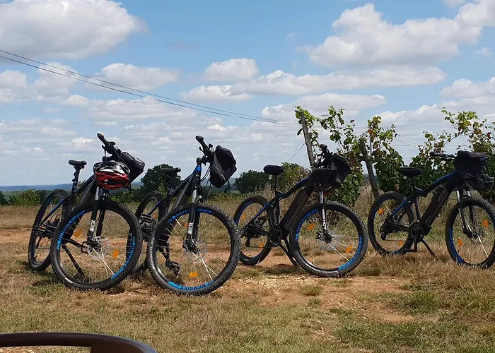 Rusty Shears46 Eclectic Couples Escape, Hot Tub & Cahors Vineyards וילה