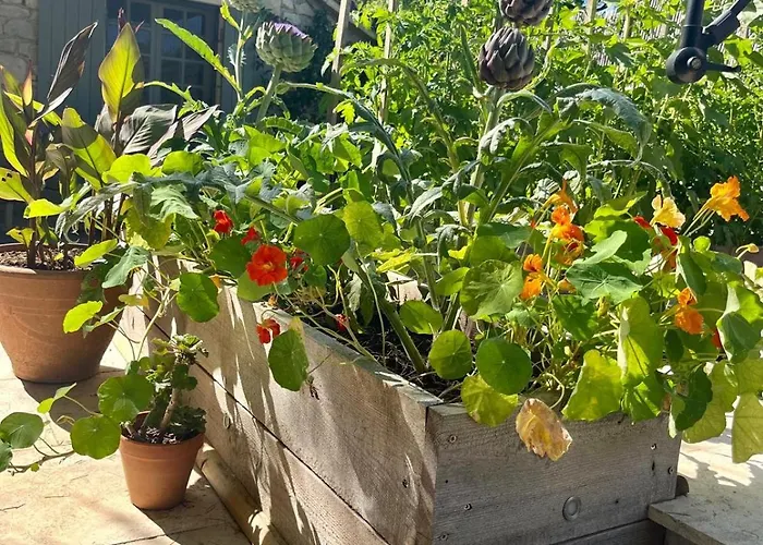 Rusty Shears46 Eclectic Couples Escape, Hot Tub & Cahors Vineyards Lacapelle-Cabanac