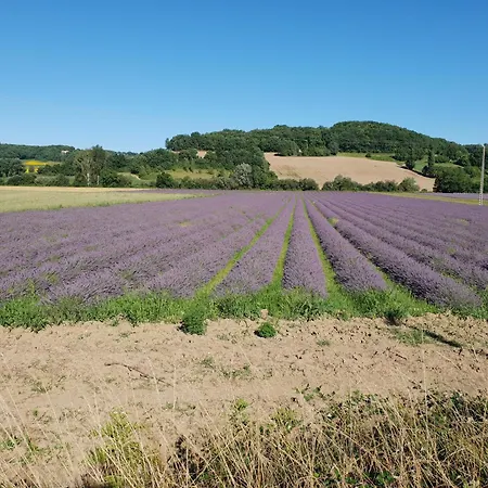 ヴィラ Rusty Shears46 Eclectic Couples Escape, Hot Tub & Cahors Vineyards Lacapelle-Cabanac