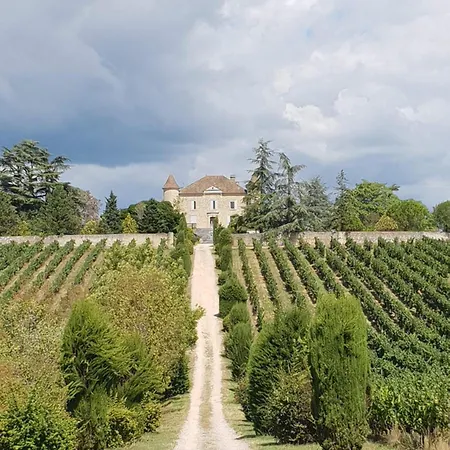 Villa Rusty Shears46 Eclectic Couples Escape, Hot Tub & Cahors Vineyards *