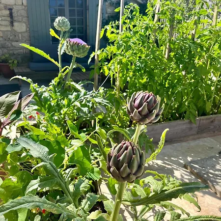 ヴィラ Rusty Shears46 Eclectic Couples Escape, Hot Tub & Cahors Vineyards Lacapelle-Cabanac