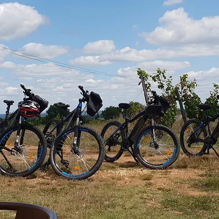 Rusty Shears46 Eclectic Couples Escape, Hot Tub & Cahors Vineyards ヴィラ