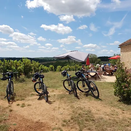 Rusty Shears46 Eclectic Couples Escape, Hot Tub & Cahors Vineyards Villa