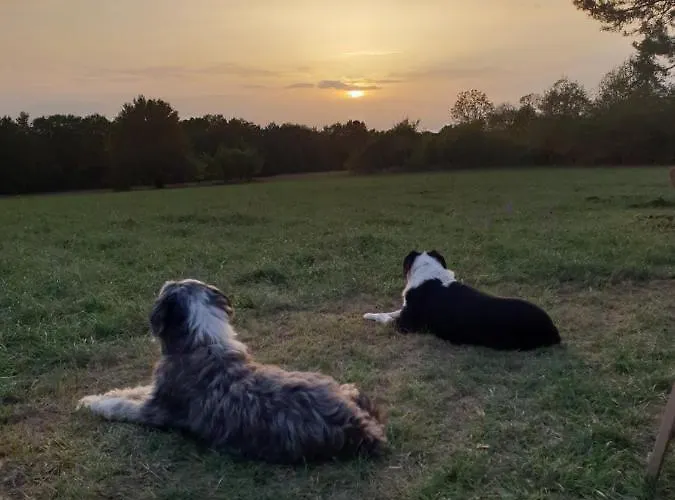 Rusty Shears46 Eclectic Couples Escape, Hot Tub & Cahors Vineyards Villa *