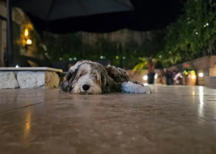 Rusty Shears46 Eclectic Couples Escape, Hot Tub & Cahors Vineyards Villa *