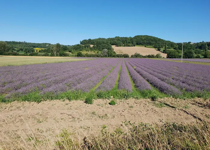 Villa Rusty Shears46 Eclectic Couples Escape, Hot Tub & Cahors Vineyards Lacapelle-Cabanac