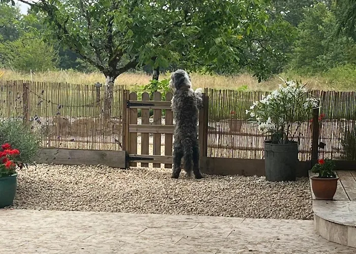 Rusty Shears46 Eclectic Couples Escape, Hot Tub & Cahors Vineyards Villa