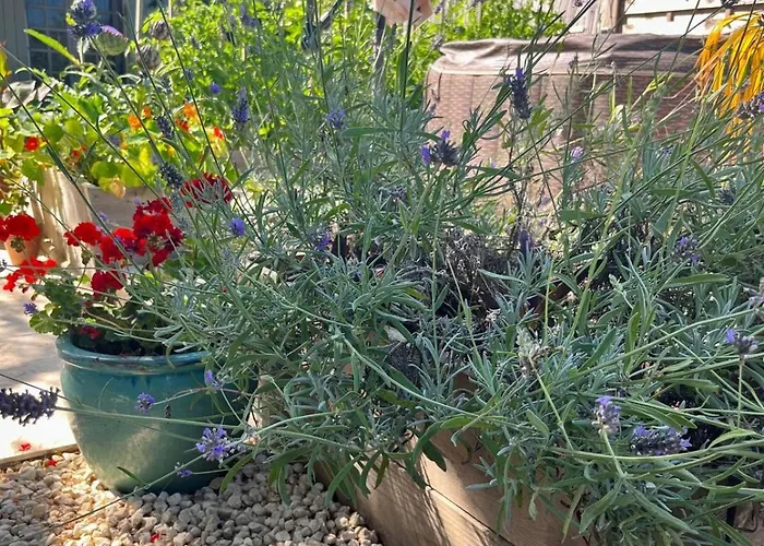 Villa Rusty Shears46 Eclectic Couples Escape, Hot Tub & Cahors Vineyards Lacapelle-Cabanac