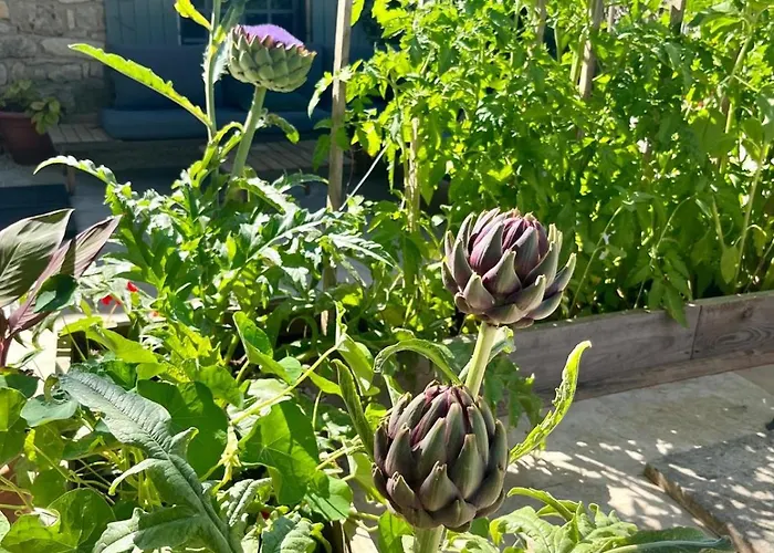 Villa Rusty Shears46 Eclectic Couples Escape, Hot Tub & Cahors Vineyards Lacapelle-Cabanac